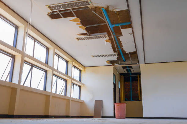 Best Water damage mitigation services  in Lisbon, OH