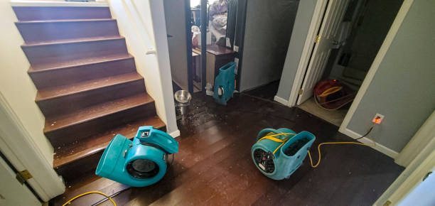 Best Water damage cleanup near me  in Lisbon, OH
