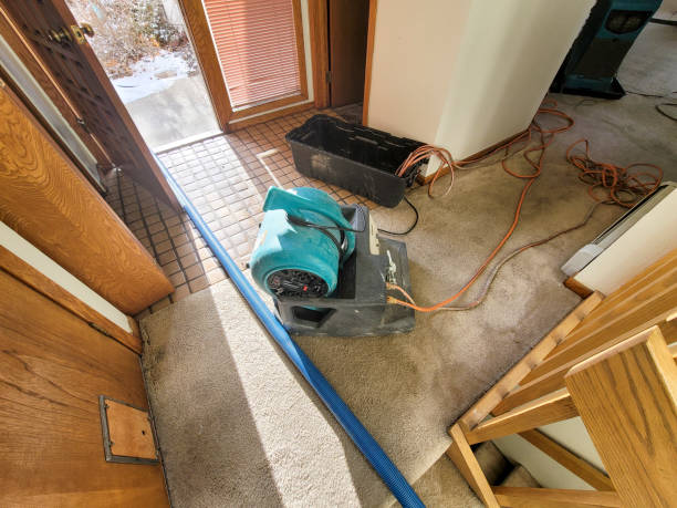 Best 24-hour water damage restoration  in Lisbon, OH