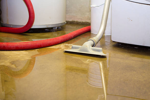 Best Water damage restoration near me  in Lisbon, OH