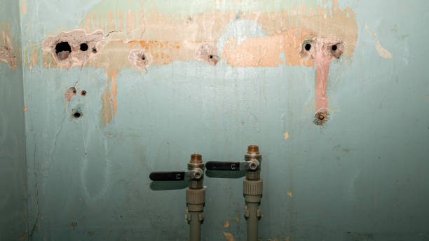 Best Flood restoration services  in Lisbon, OH
