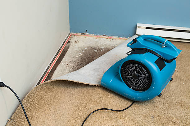 Best Ceiling water damage repair  in Lisbon, OH